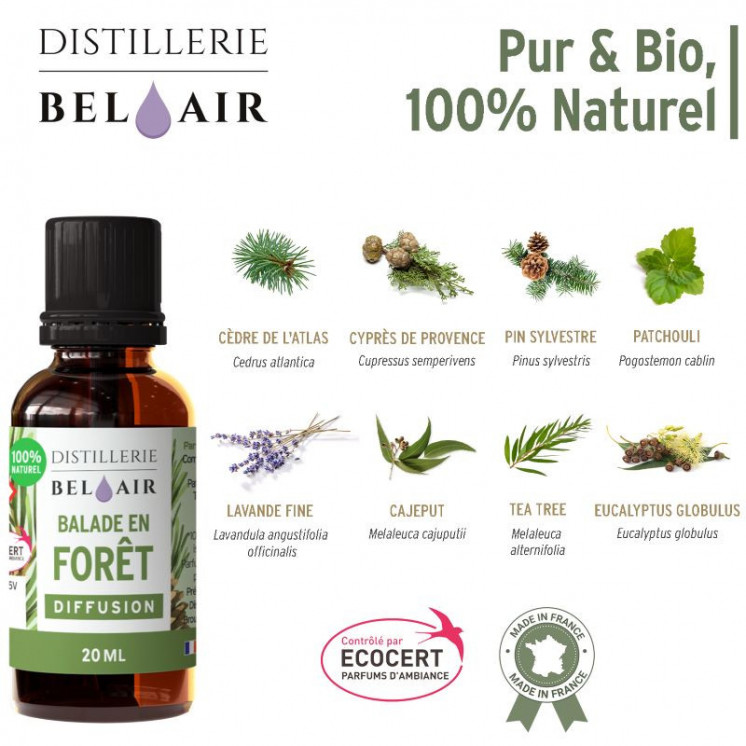 Balade en Forêt - Parfum d'ambiance Bio - 20ml