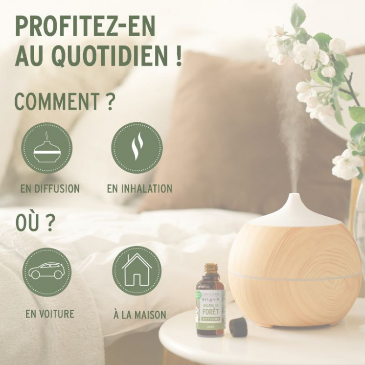 Balade en Forêt - Parfum d'ambiance Bio - 20ml