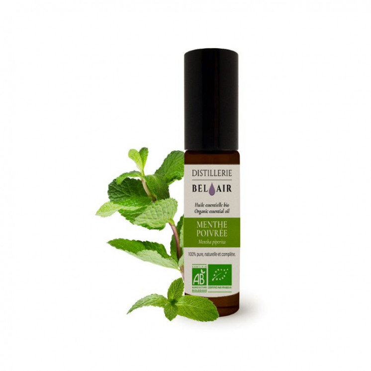 Menthe poivrée - Roll-on d'huile essentielle Bio - 5ml